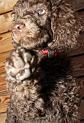 2009-06-22_giveme5[1]